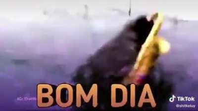 Sei l&aacute;, bom dia?