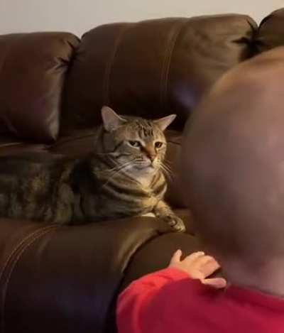Did he hear about boundaries?...