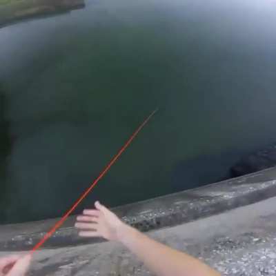 sniper accuracy. and "bowfishing ain't easy"