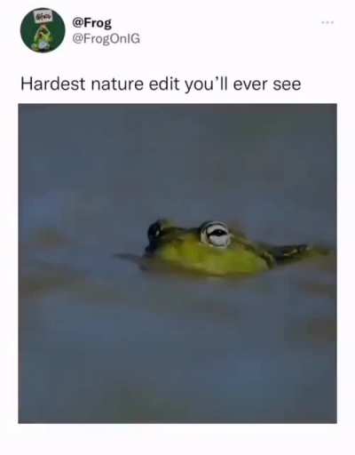 it is wednesday my dudes