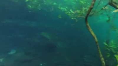 Heavy Rain Transforms A Hiking Trail Into An Underwater Trail In Brazil