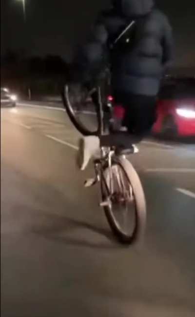 Bicycle dude didn't expect that one 
