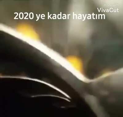 Selamun aleyk&uuml;m