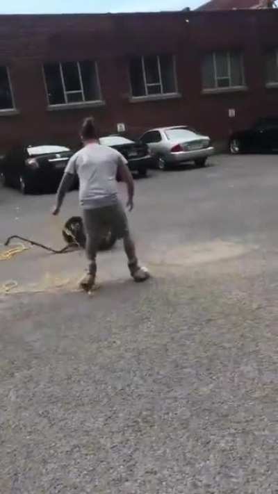 ♪♫ like the Segway Cowboys...