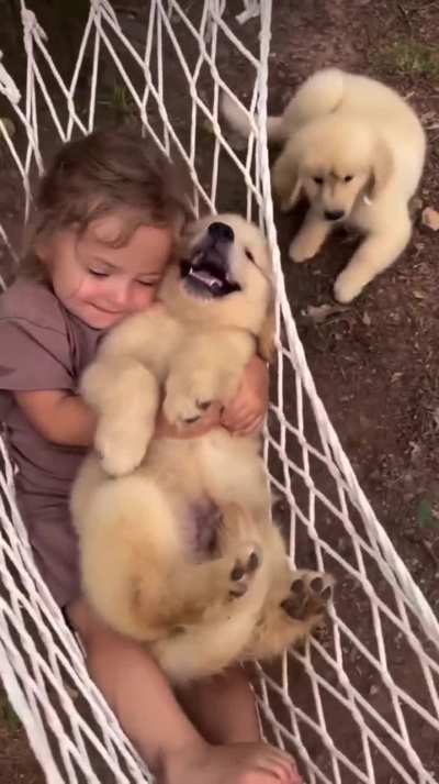 Doggo has a new friend 