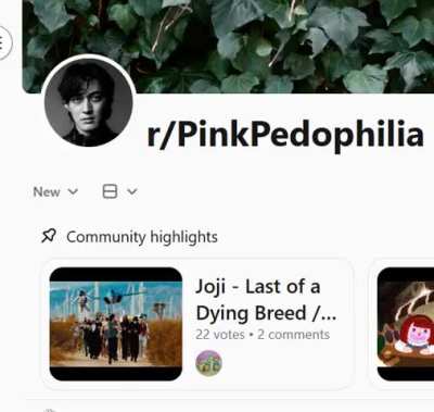 R/PinkPedophilia (Diss Track)