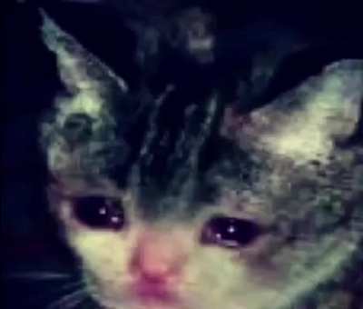 :(