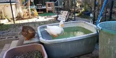 When you wanna take a bath...