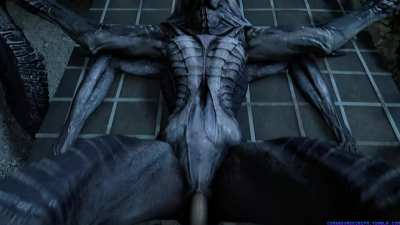 Resized Wraith