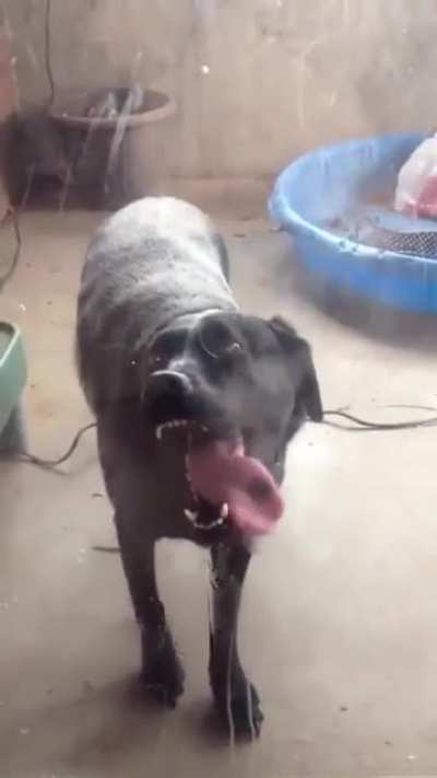 hElLhOuNd TrIeS tO aTtAcK iNnOcEnT hUmAn