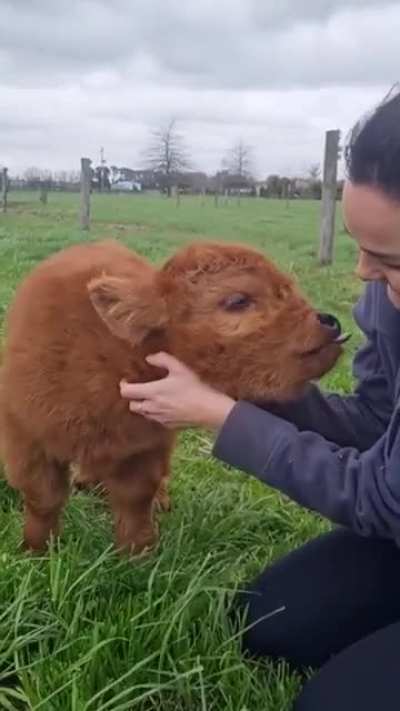 Little baby.
