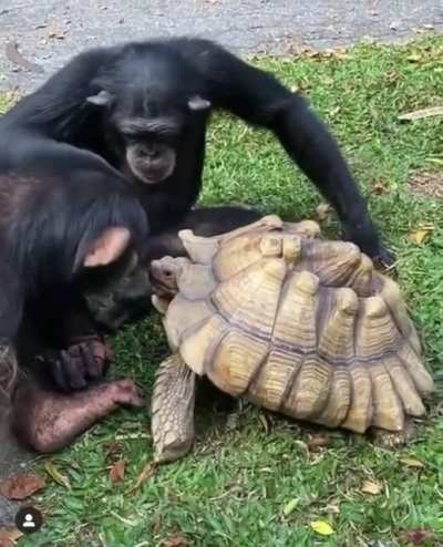 Ele olhando pra tr&aacute;s pra ver se algu&eacute;m t&aacute; vendo kk