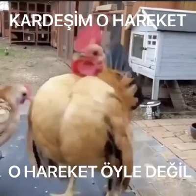 KARDEŞİM YANLIŞ YAPIYORSUN ONU