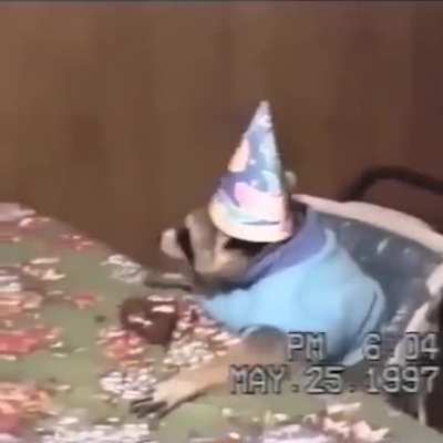 Let's all wish Annebelle a happy 23rd birthday! &amp;lt;3