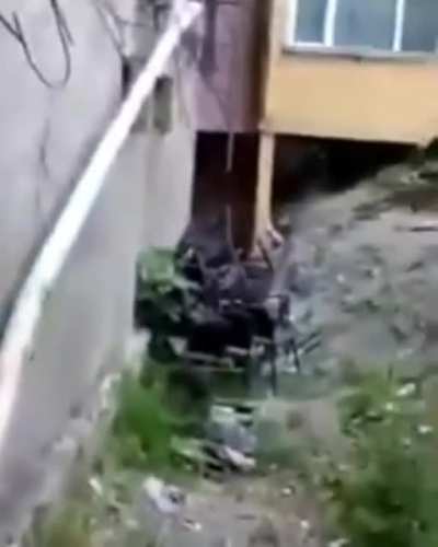 Kafadan patlat abi 👌