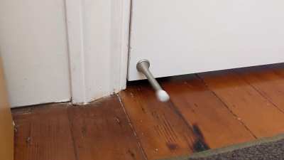 This is how my cat asks to enter a room.