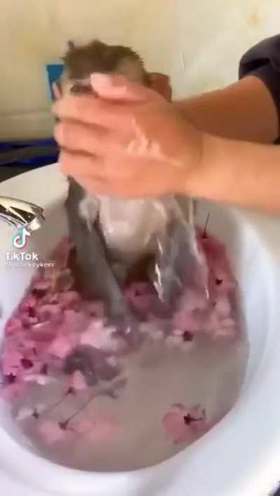 No molesten. Admin ba&ntilde;&aacute;ndose.