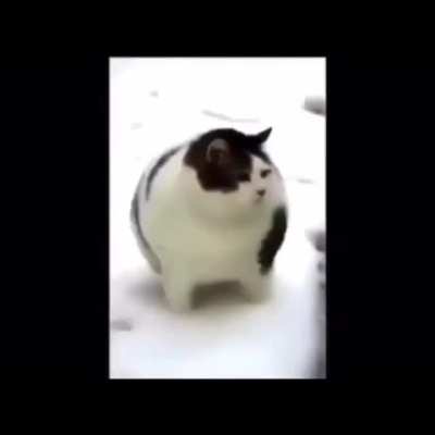 Oh lawd he comin