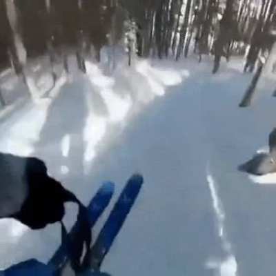 The snow at the end, such a gentle humiliation