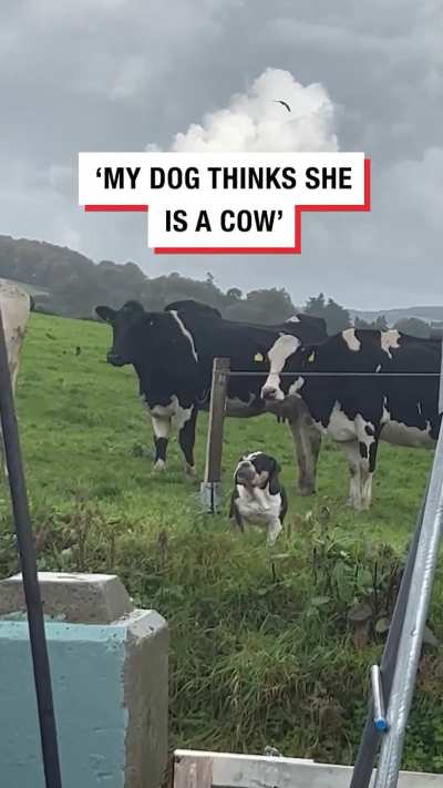 She&rsquo;s with her people now