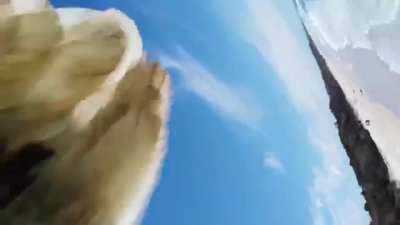 Eagle plucks a drone out of the sky and flies off with it