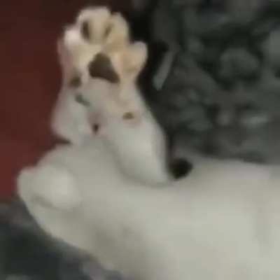 Hmmm