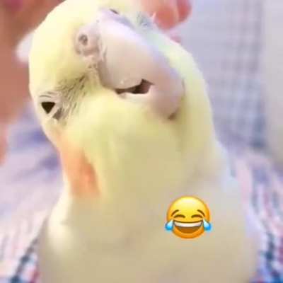 Aaaaaaaaaa-