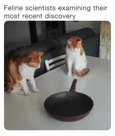 Pan 👍