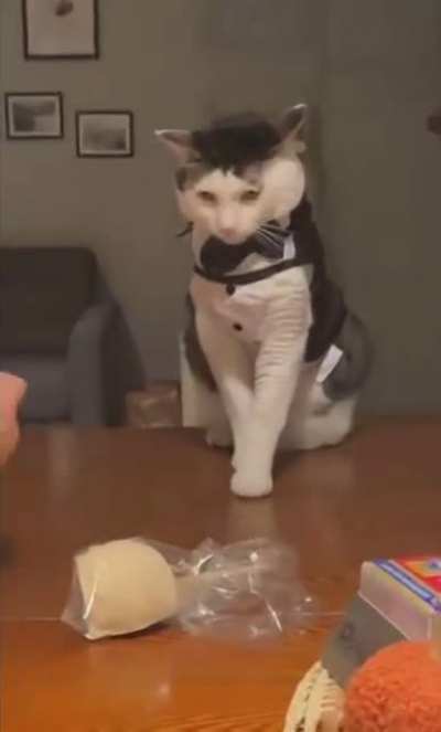 What a distinguished gentleman