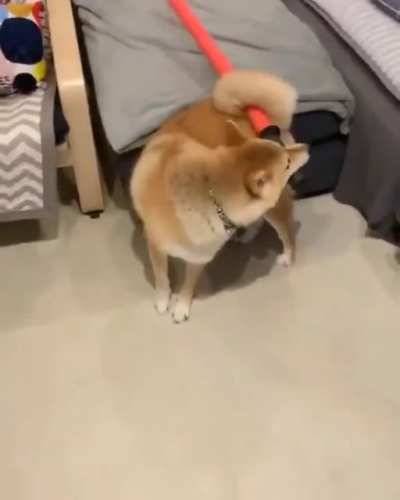 asi entrena al micky pero con un machete
