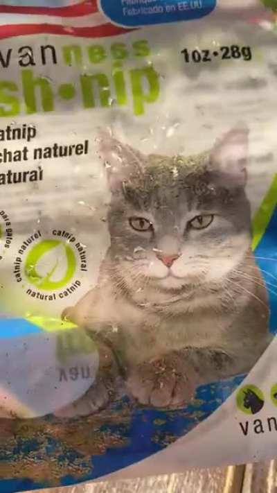 Cats do it too