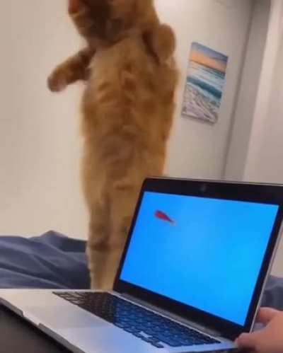 [Cannot compute]