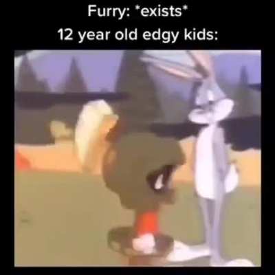 Furry_irl