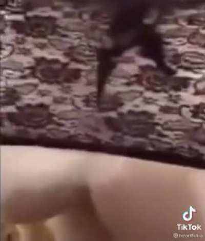 I'm sorry you have to watch this as well