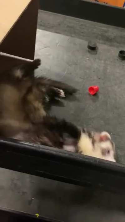 Take your Nood to work day!
