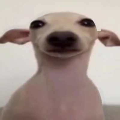 😐😐😐😐
