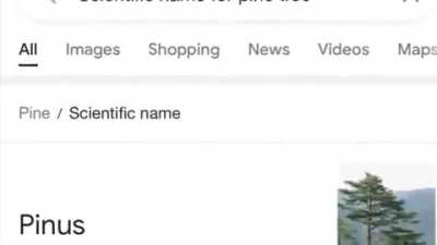 You Learn New Things Everyday
