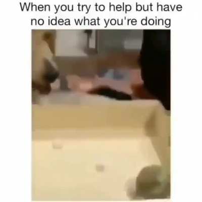 I think he won!