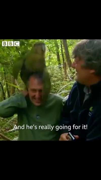 When nature tells you to mate&hellip;you mate.