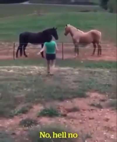 AAAAAAA