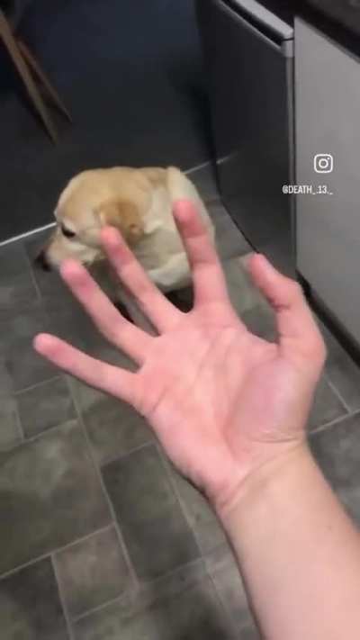 “ZA HANDO”