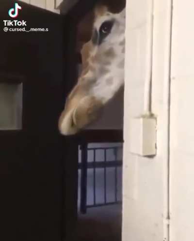 👀