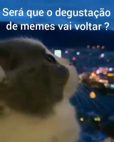 Ser&aacute;?