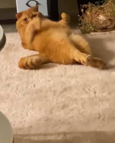 Sunday mood