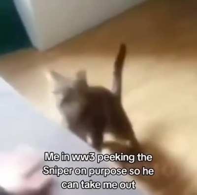 Me when WW3: