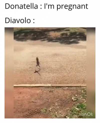 He's learnt from Joseph (First video meme please be gentle)