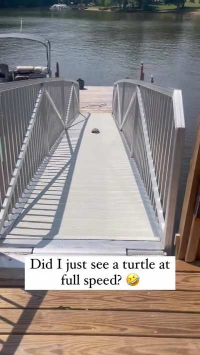 Turtle&rsquo;s being training for his next race with the rabbit.