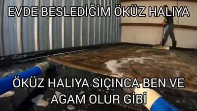 Evde &ouml;k&uuml;z m&uuml; beslenir amk 🤠