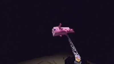 Wait that isn't the ender dragon!