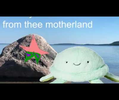 betrayer squidwam